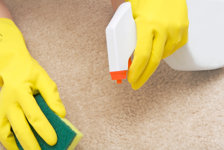 Swift Dry Carpet Cleaning in Longwood and Orlando Florida