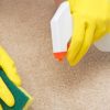 Spot Cleaning Tips in Winter Park, Florida