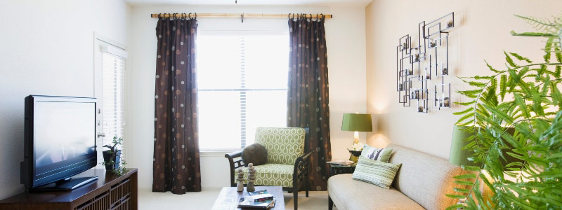 Residential Upholstery Cleaning in Winter Park, Florida
