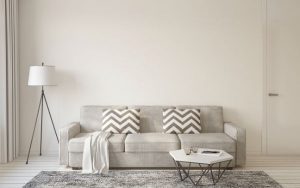 Upholstery Cleaning