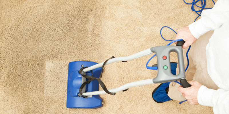 Residential Carpet Cleaning in Doctor Phillips, Florida