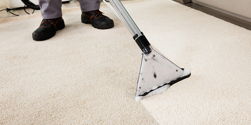 Professional Carpet Cleaning vs. DIY Carpet Cleaning