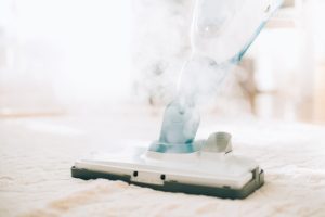 5 Key Facts About Steam Cleaning