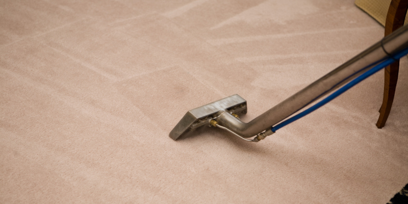 When to Schedule Carpet & Upholstery Cleaning Services