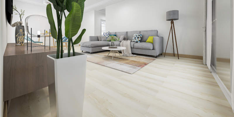 LVT Cleaning in Orlando, Florida