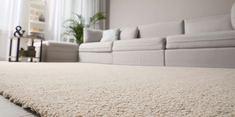 5 Signs You Need Professional Carpet Cleaning